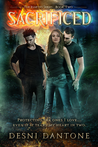 Ignited book cover 2