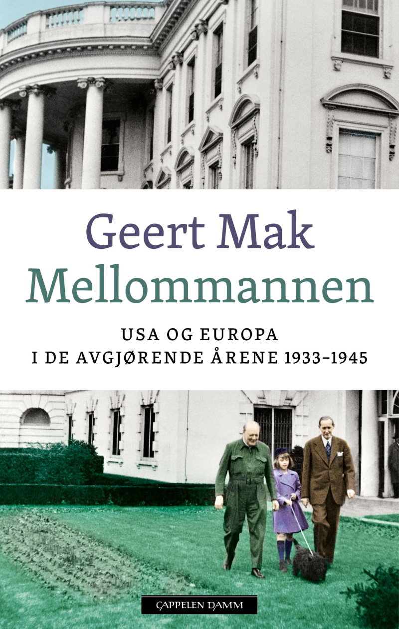 Mellommannen book cover