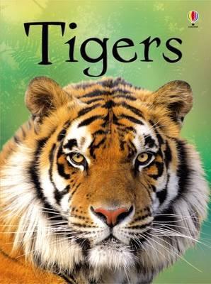 Tigers book cover