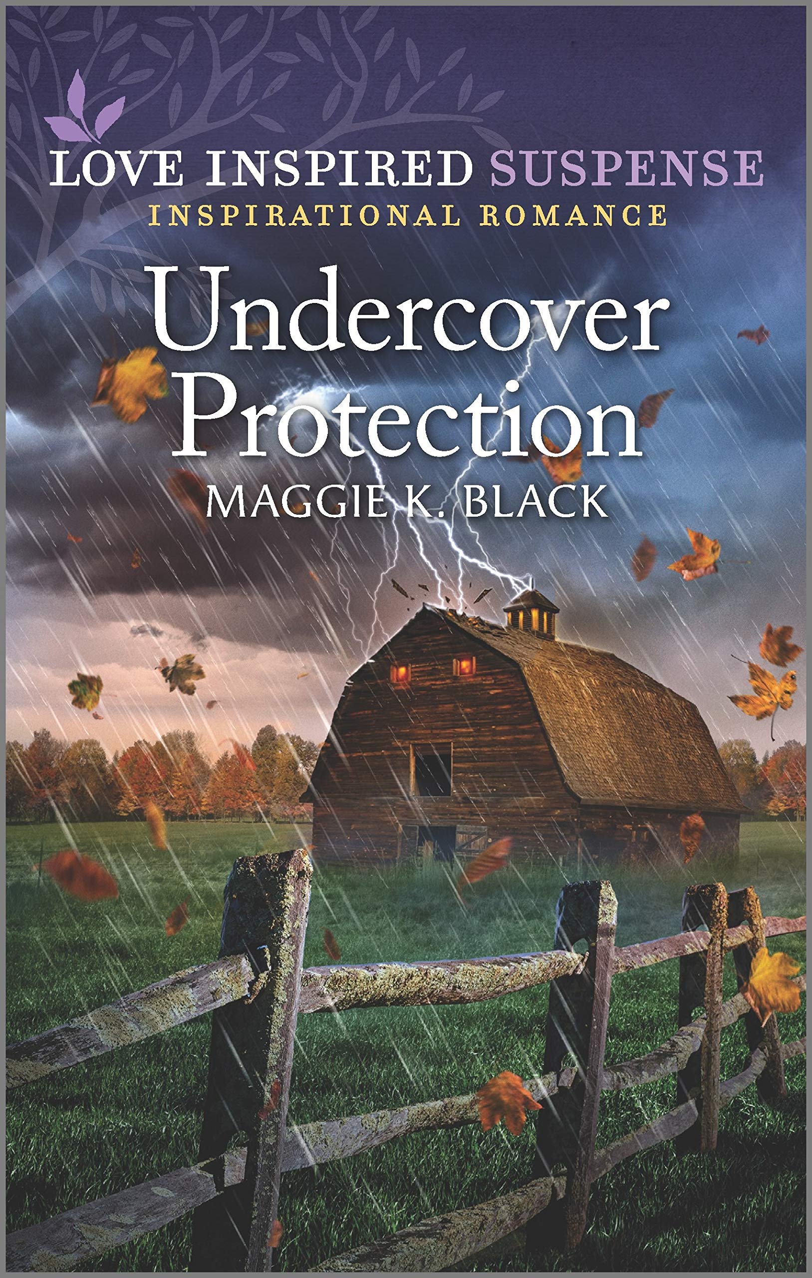 Undercover Protection book cover