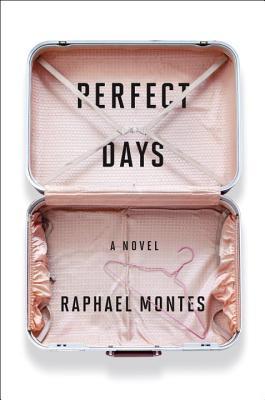 Perfect Days book cover