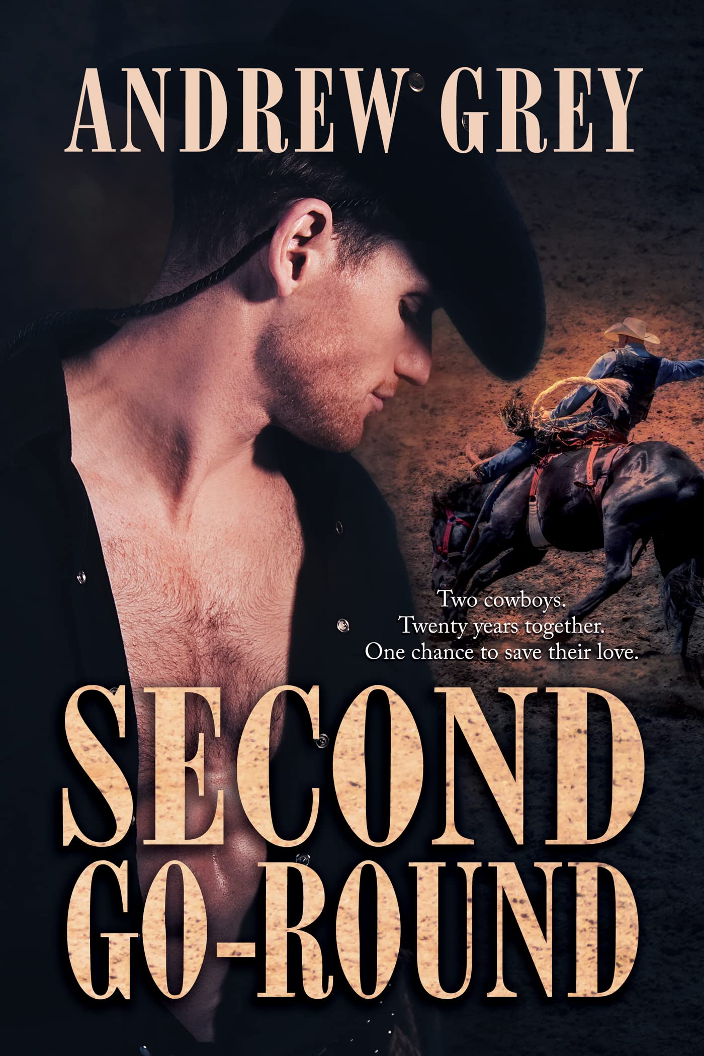 Second Go-Round book cover