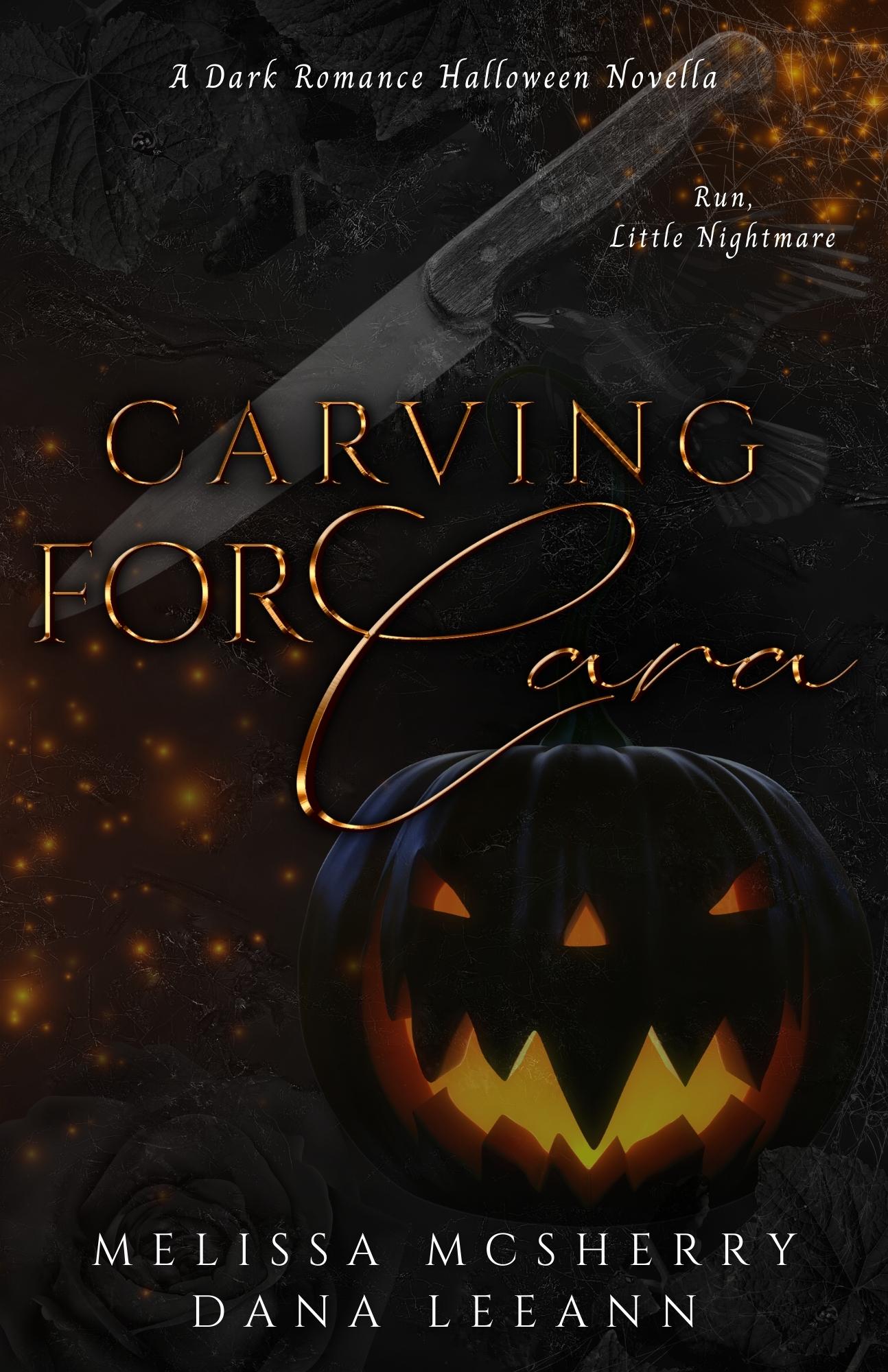 Wrecked book cover 1