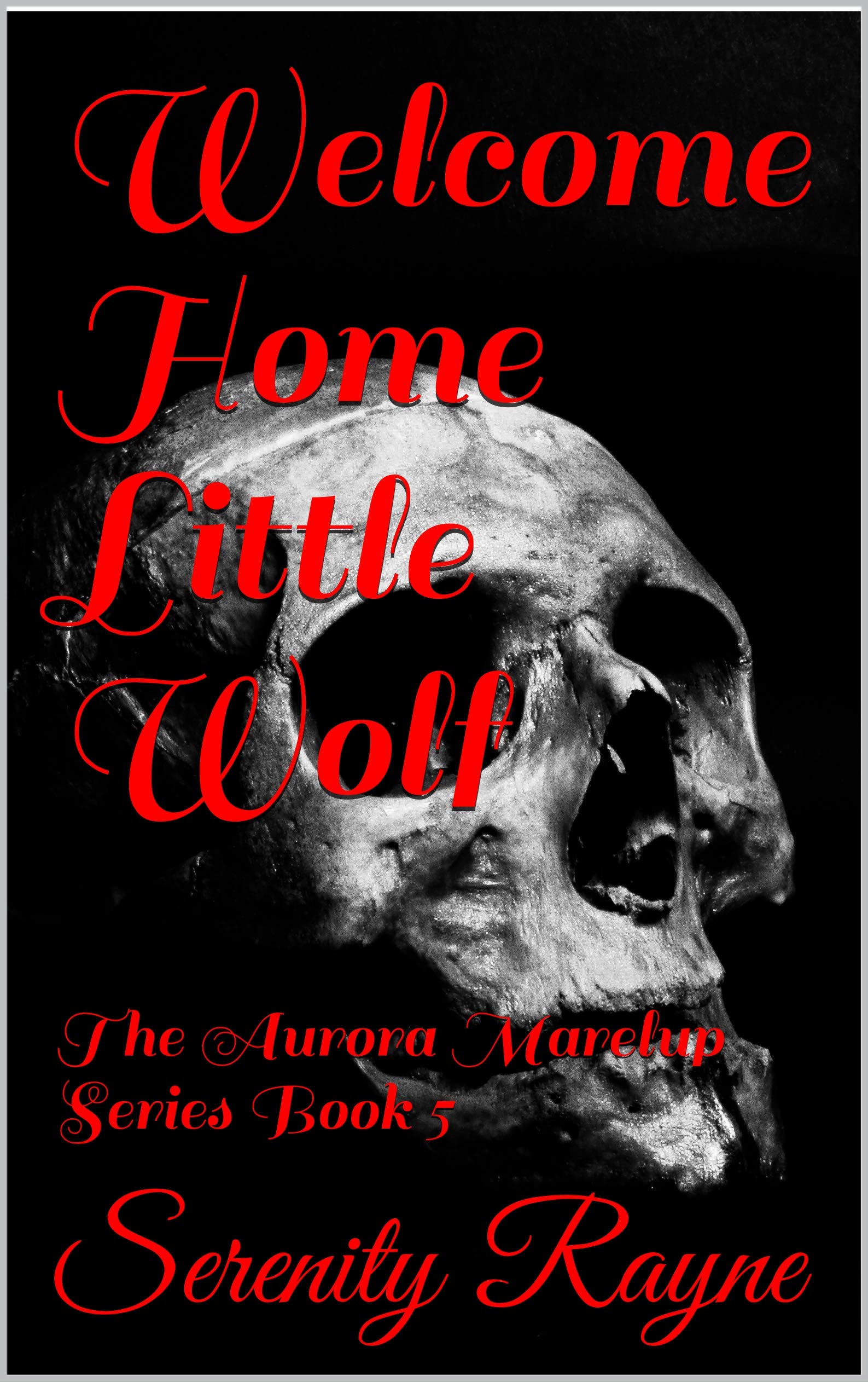 Welcome Home Little Wolf book cover