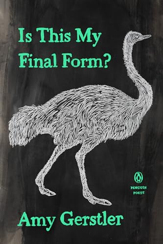 Is This My Final Form? book cover