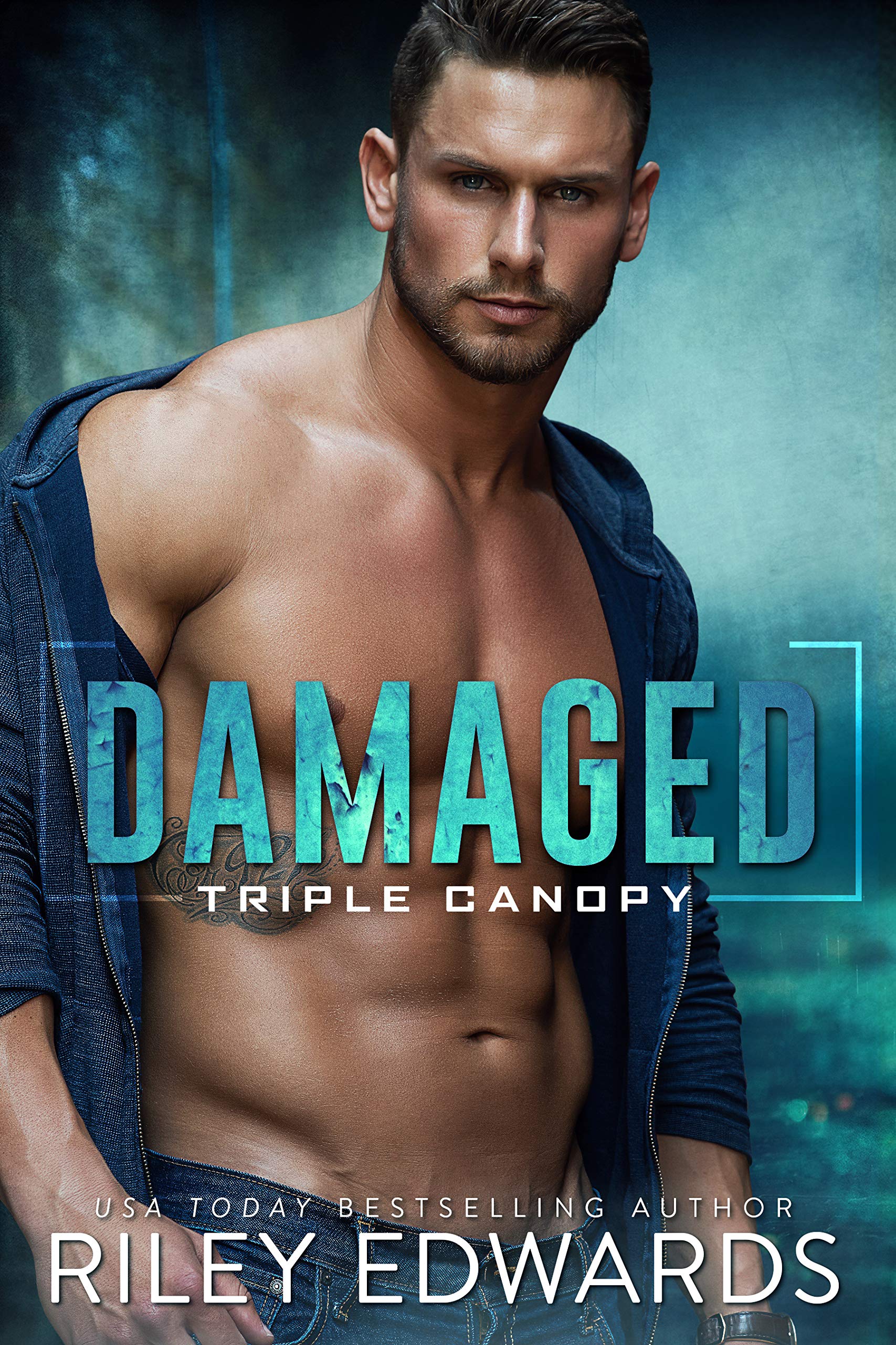 Triple Canopy book cover 1