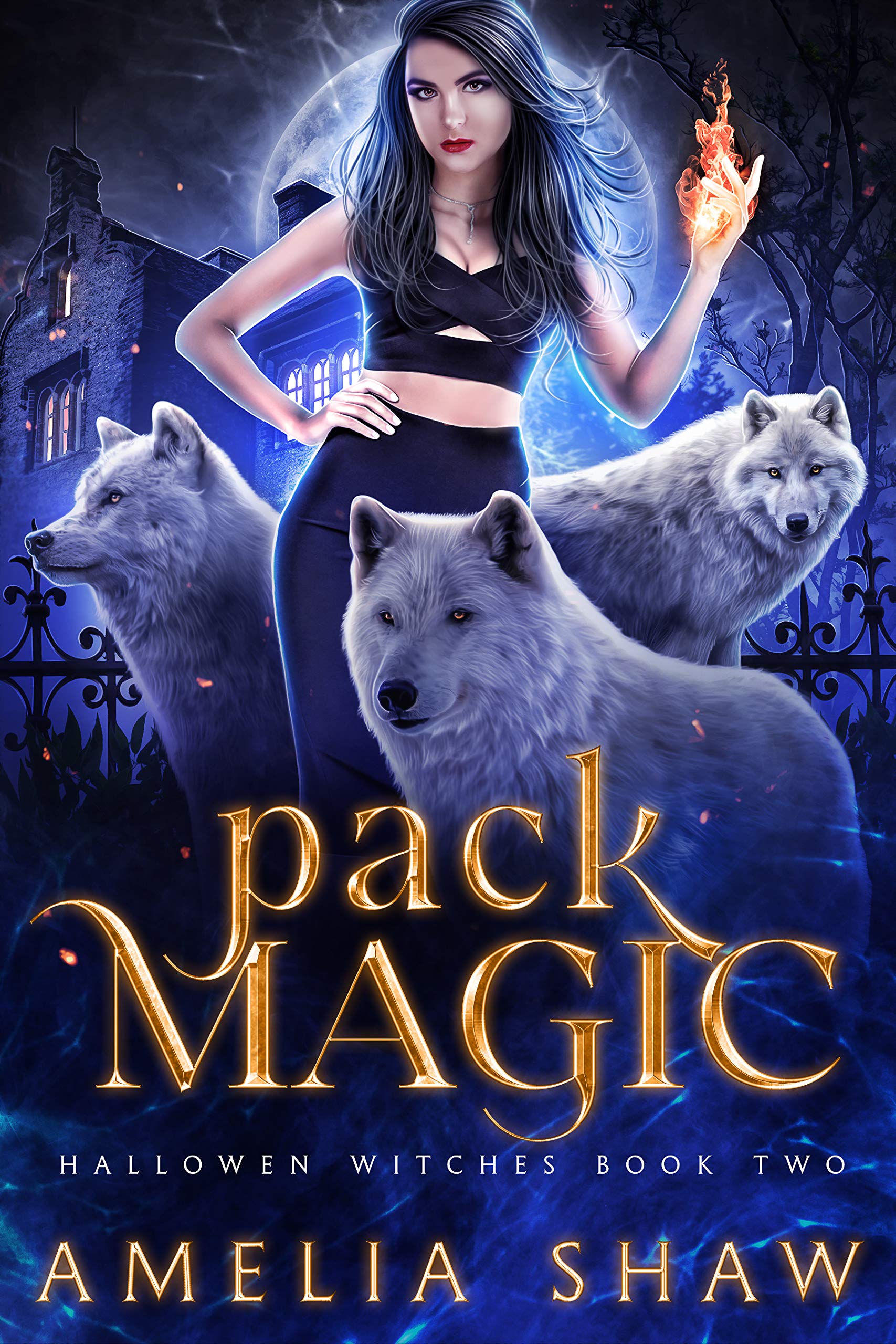 Halloween Witches book cover 1