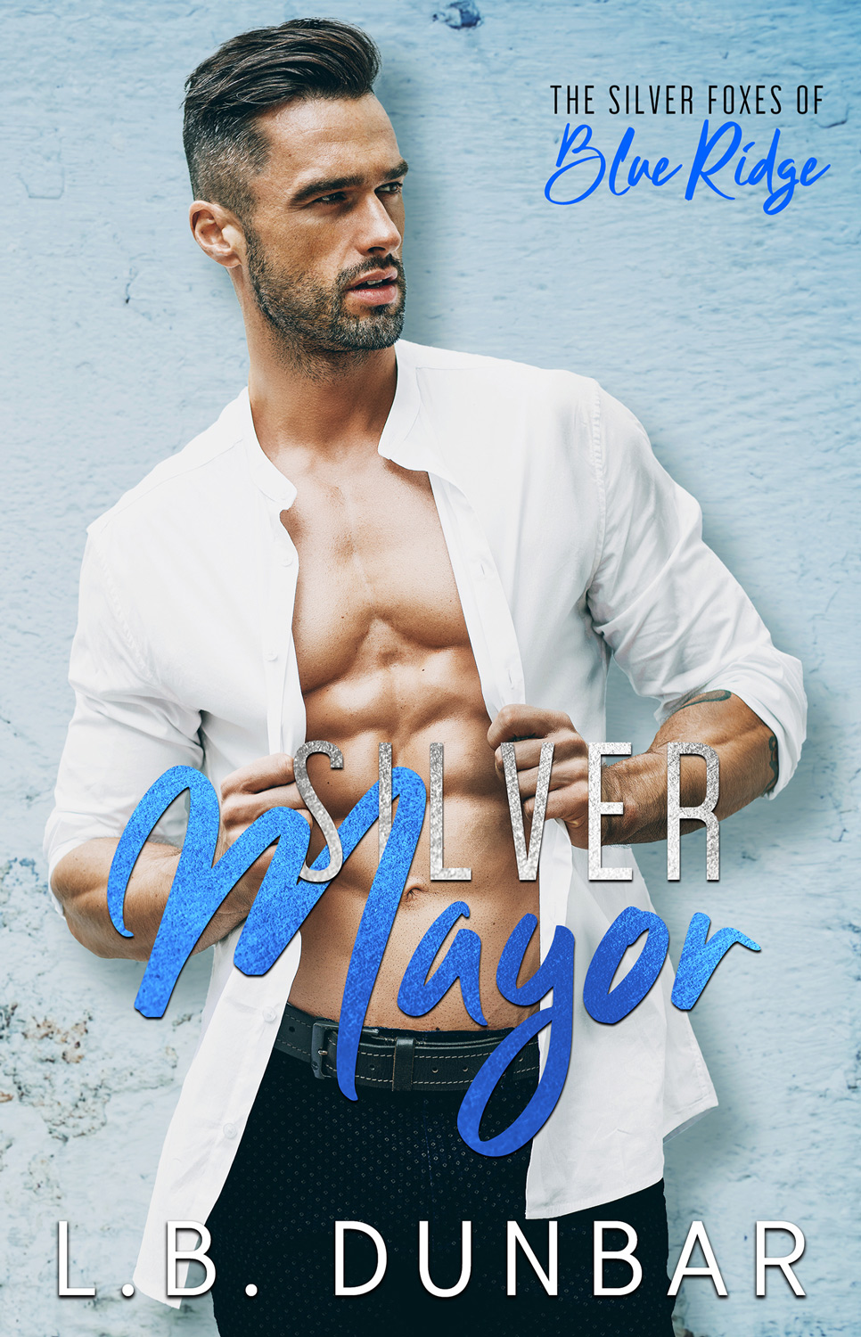The Silver Foxes of Blue Ridge book cover 3