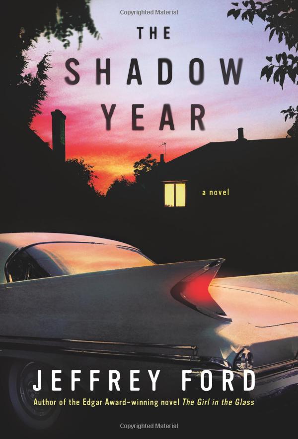 The Shadow Year book cover