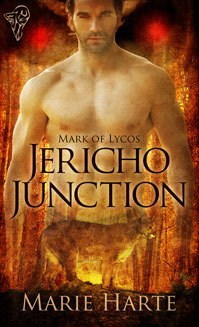 Mark of Lycos book cover 3