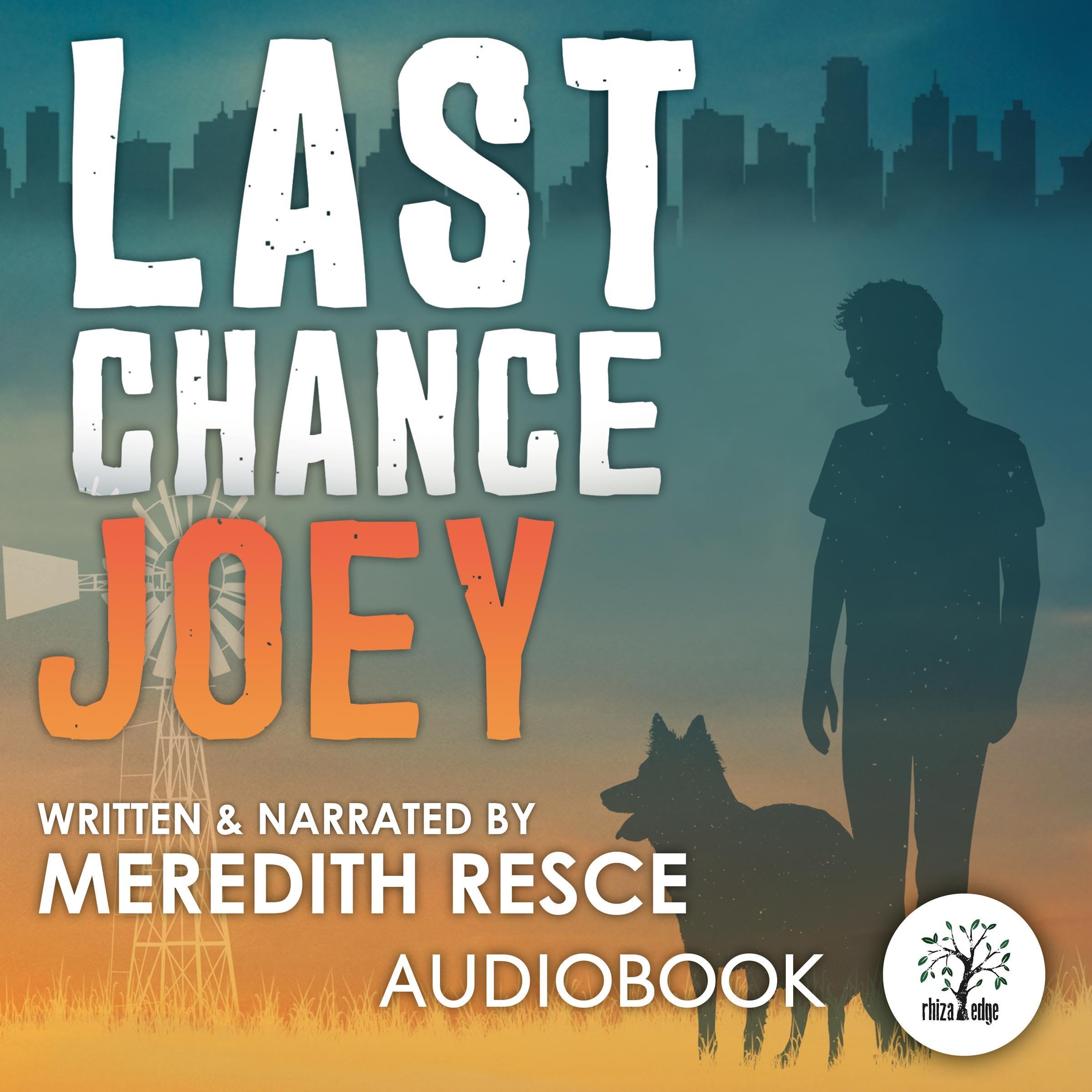 Last Chance Joey book cover