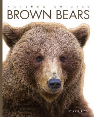 Brown Bears book cover