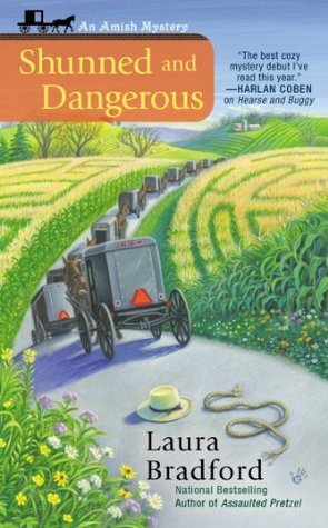 An Amish Mystery book cover 3