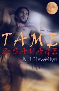 Tame book cover 2