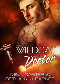 Sargosian Chronicles book cover 3