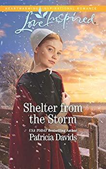 North Country Amish book cover 2