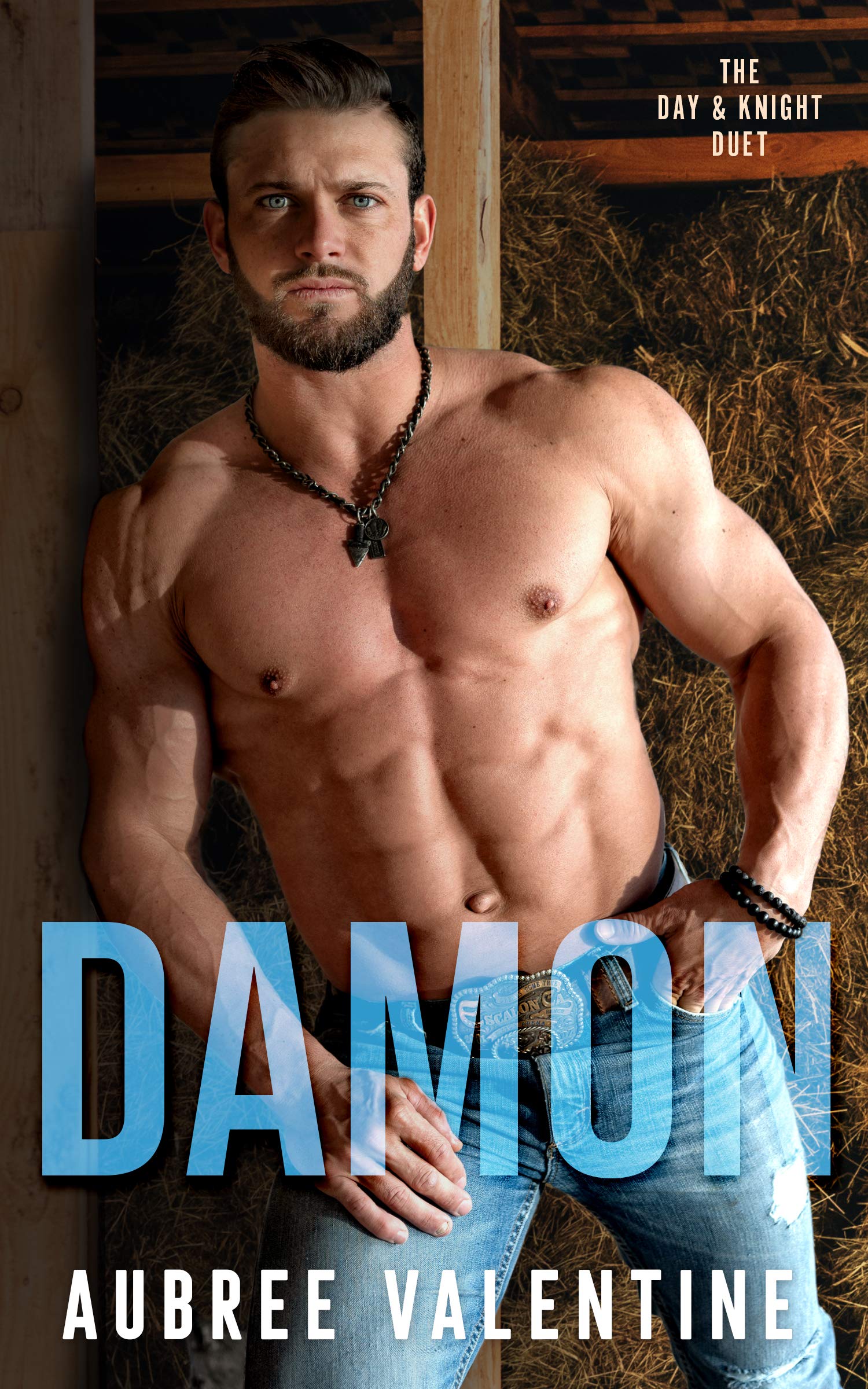 Damon book cover