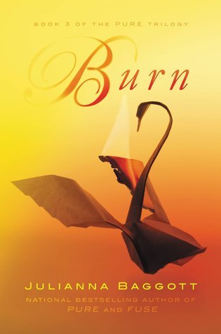 Burn book cover