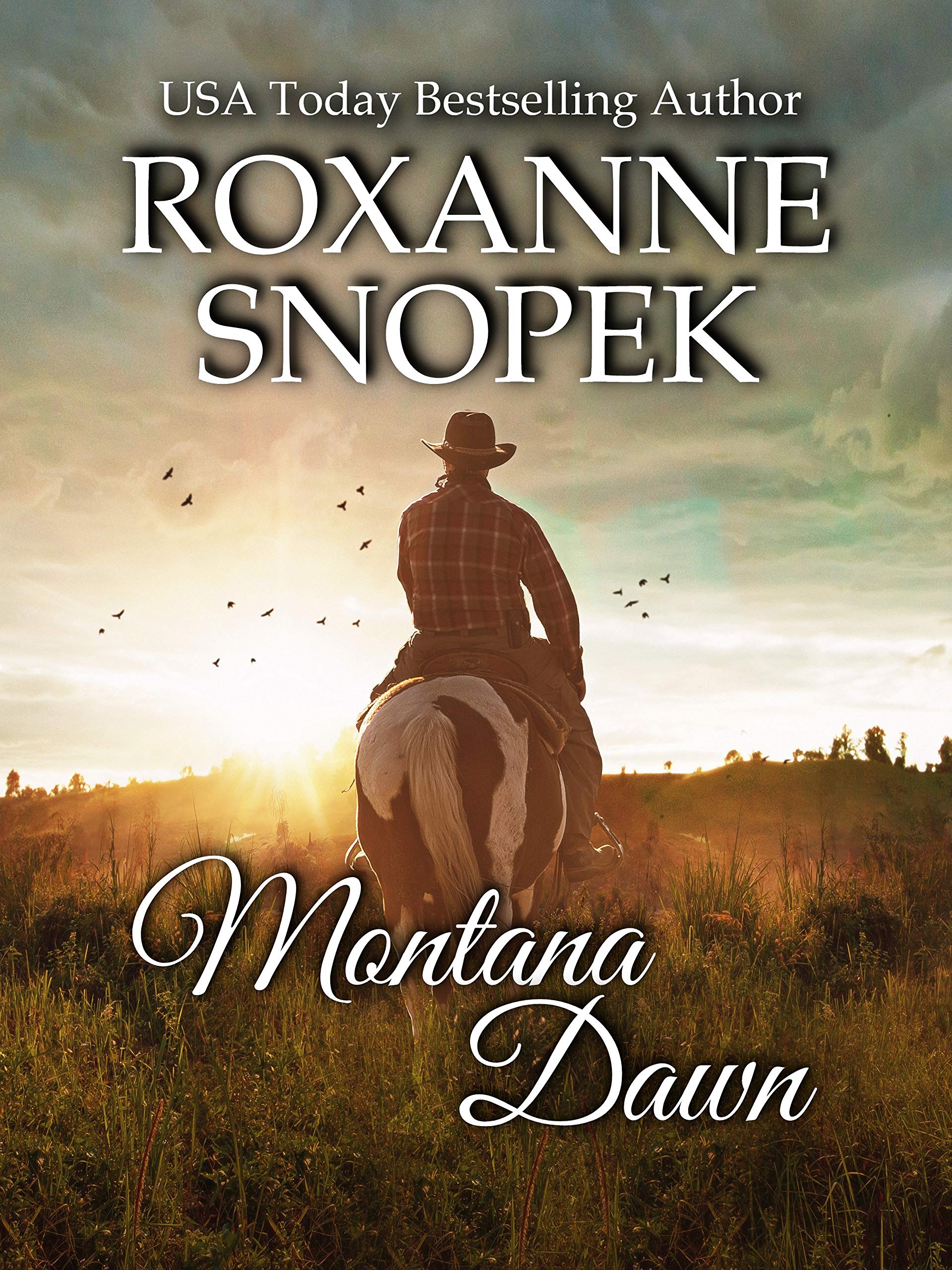 Montana Dawn book cover