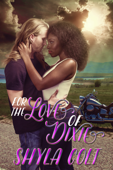 For the Love of Dixie book cover