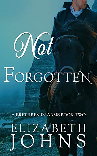Brethren in Arms book cover 2