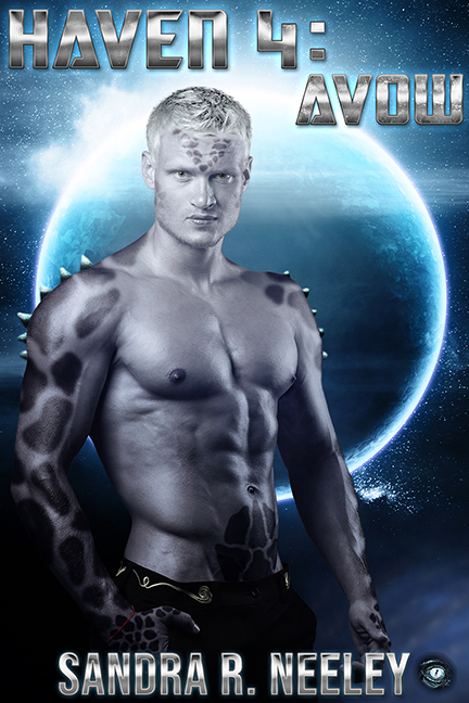 Avow book cover