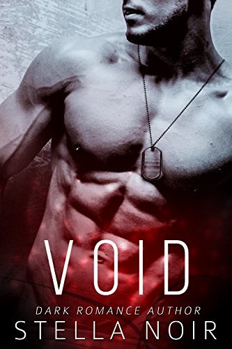 Void book cover