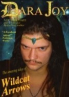 The Amazing Tales of Wildcat Arrows book cover