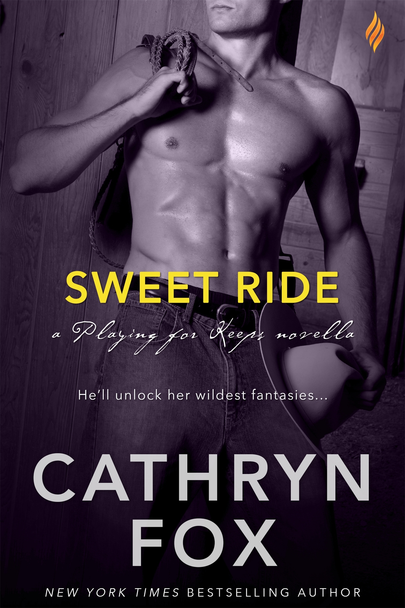 Playing for Keeps book cover 3