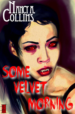 Some Velvet Morning book cover