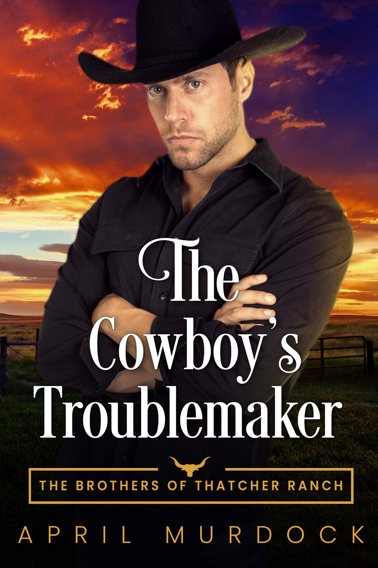 The Brothers of Thatcher Ranch book cover 3