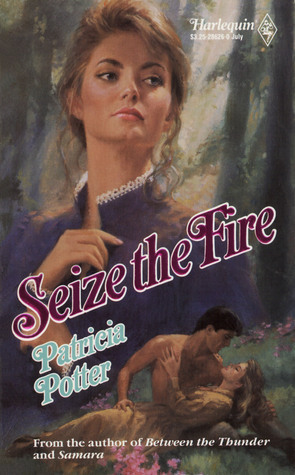 Seize The Fire book cover
