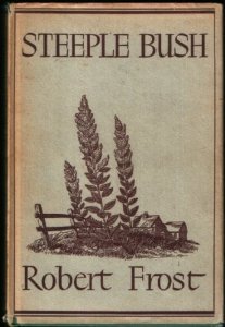 Steeple Bush book cover