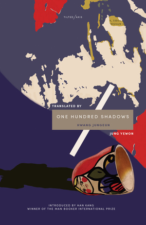 One Hundred Shadows book cover
