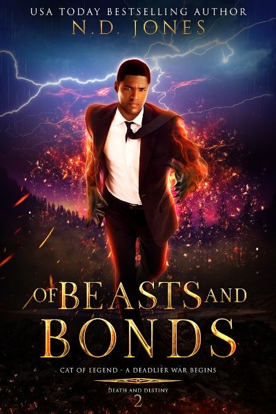 Death and Destiny book cover 2