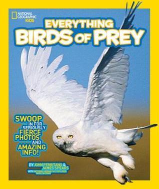 Everything Birds of Prey book cover