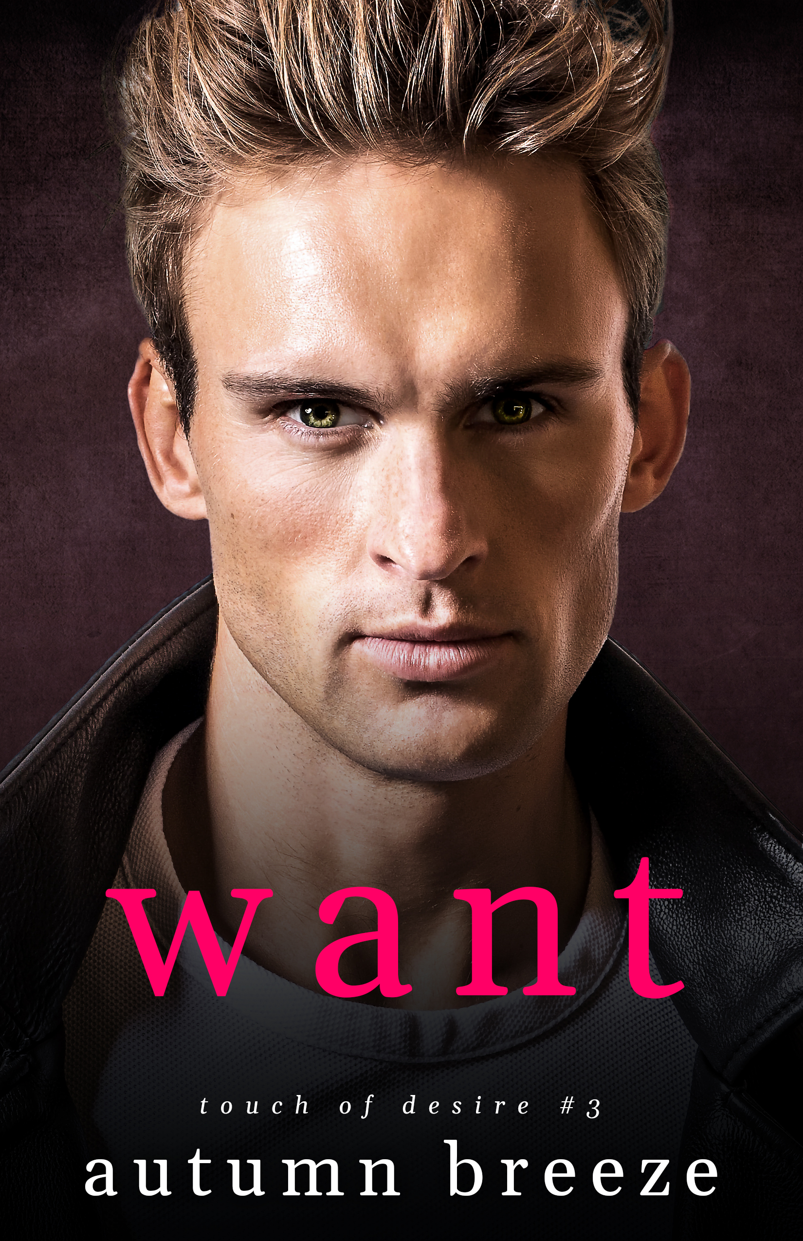 Touch of Desire book cover 3
