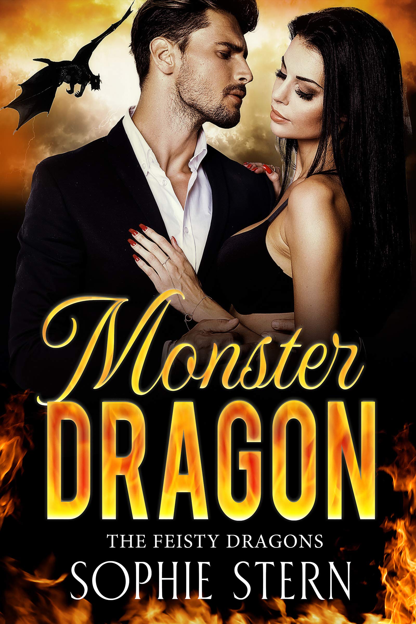 The Feisty Dragons book cover 3
