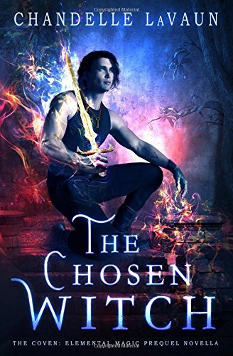 The Chosen Witch book cover