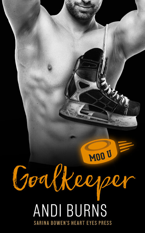 Goalkeeper book cover