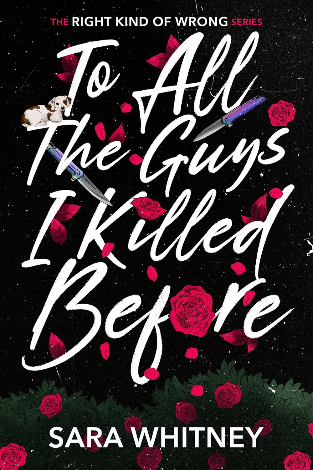 To All the Guys I Killed Before book cover