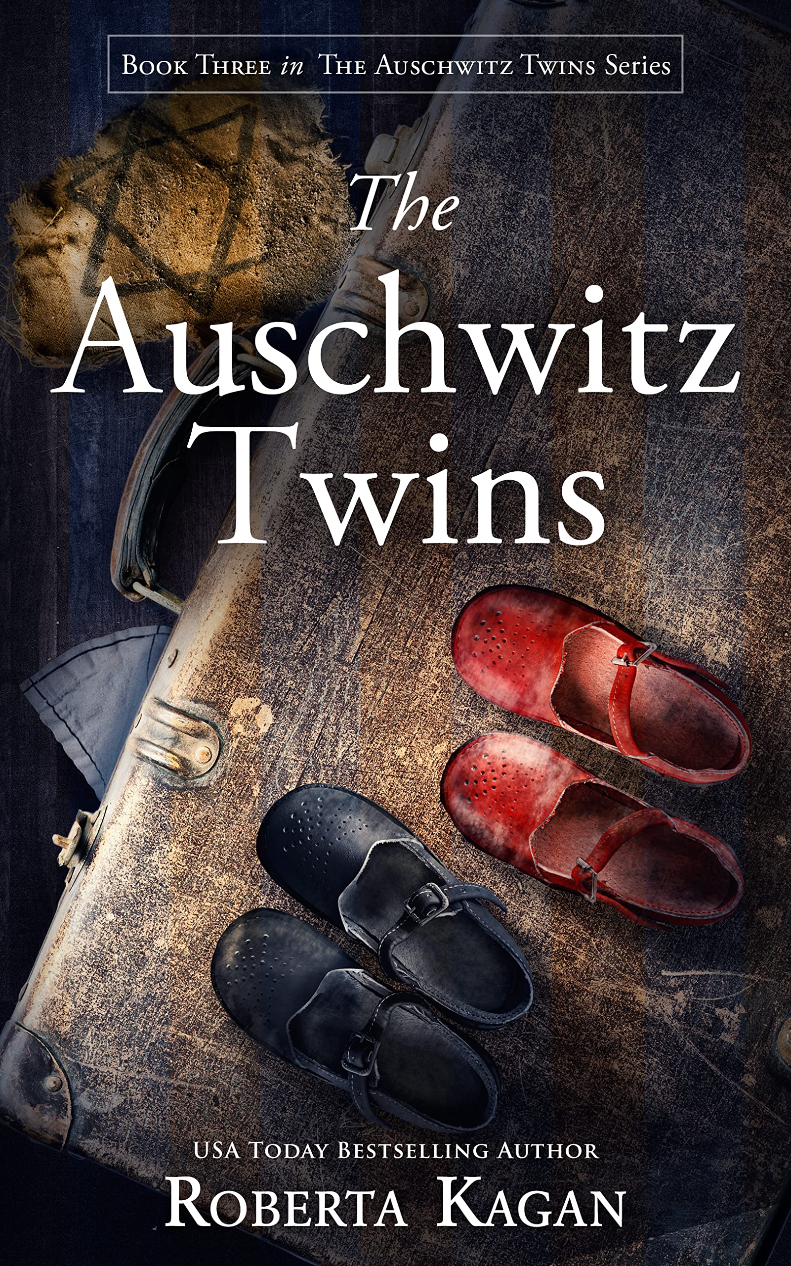 The Auschwitz Twins book cover