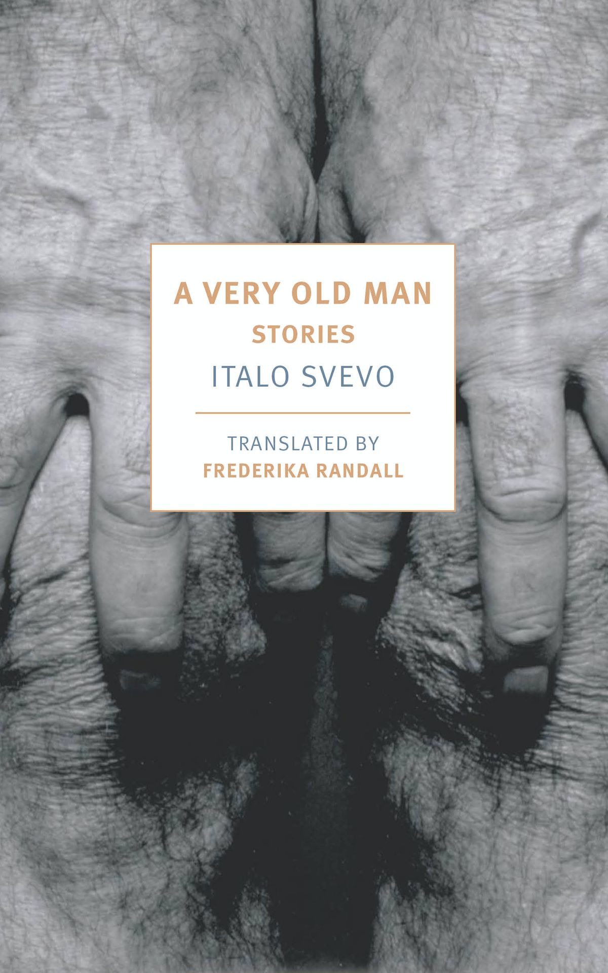 A Very Old Man book cover