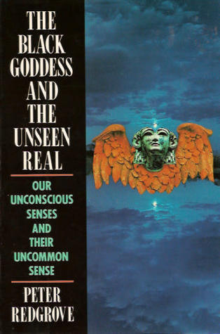 The Black Goddess and the Unseen Real book cover