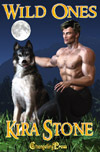 Wild Ones book cover