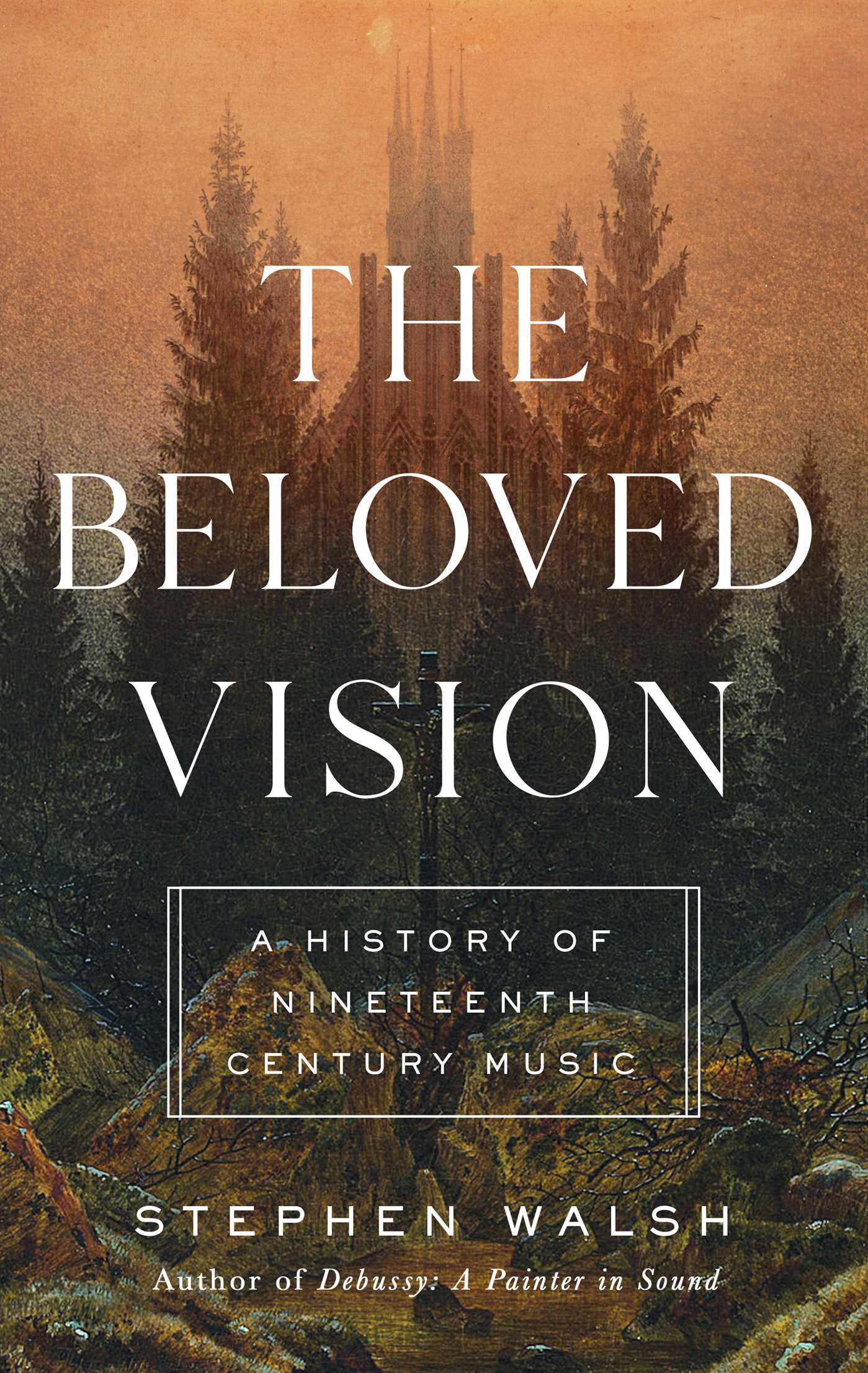 The Beloved Vision book cover