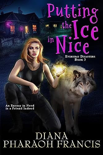 Everyday Disasters book cover 3