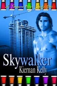 Skywalker book cover