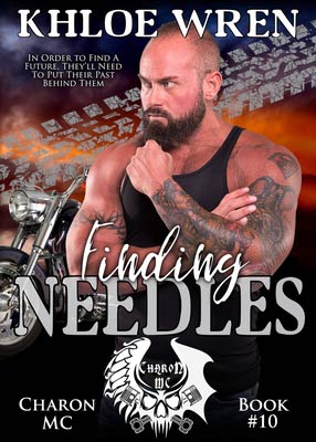 Finding Needles book cover