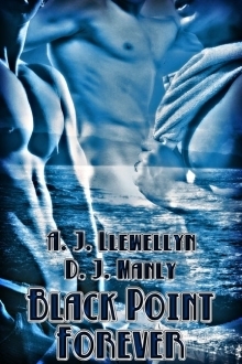 Black Point Forever book cover